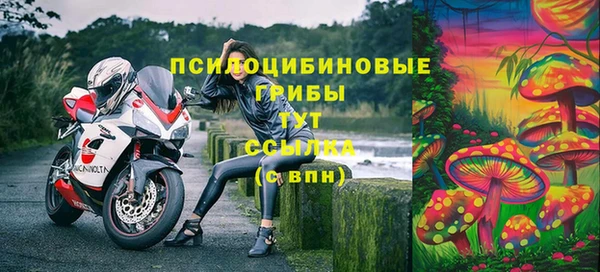 прущий лед Армянск