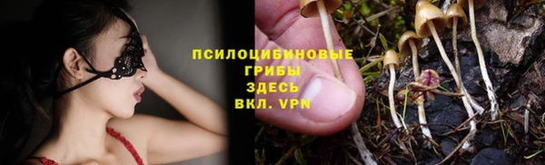 прущий лед Армянск