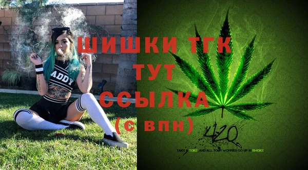 прущий лед Армянск